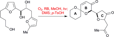 Graphical abstract: Green oxidations of furans—initiated by molecular oxygen—that give key natural product motifs