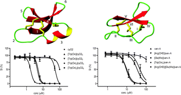 Graphical abstract: Cytotoxic potency of small macrocyclic knot proteins: Structure–activity and mechanistic studies of native and chemically modified cyclotides
