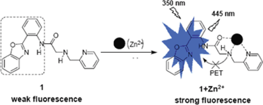 Graphical abstract: An 2-(2′-aminophenyl)benzoxazole-based OFF–ON fluorescent chemosensor for Zn2+ in aqueous solution
