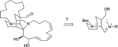 Graphical abstract: Transannular dipolar cycloaddition as an approach towards the synthesis of the core ring system of the sarain alkaloids