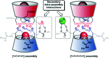 Graphical abstract: Allosterically driven self-assemblies of interlocked calix[6]arene receptors