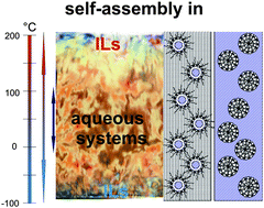 Graphical abstract: Conditions for and characteristics of nonaqueous micellar solutions and microemulsions with ionic liquids