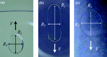 Graphical abstract: Viscous drag friction acting on a fluid drop confined in between two plates