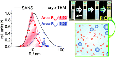 Graphical abstract: Formation and structure of slightly anionically charged nanoemulsions obtained by the phase inversion concentration (PIC) method