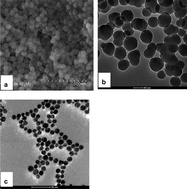 Graphical abstract: A DNA hybridization detection based on fluorescence resonance energy transfer between dye-doped core-shell silica nanoparticles and gold nanoparticles