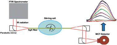 Graphical abstract: Detecting trace amounts of water in hydrocarbon matrices with infrared fiberoptic evanescent field sensors