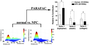 Graphical abstract: Diagnosis of early stage nasopharyngeal carcinoma using ultraviolet autofluorescence excitation–emission matrix spectroscopy and parallel factor analysis