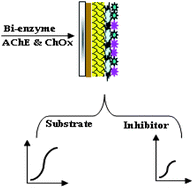 Graphical abstract: Application of bimetallic nanoparticles modified screen printed electrode for the detection of organophosphate compounds using an enzyme inhibition approach