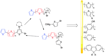 Graphical abstract: Surface-initiated polymerization of conjugated polymers