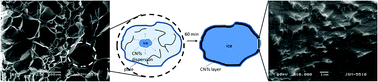 Graphical abstract: Ice-mediated coating of macroporous cryogels by carbon nanotubes: a concept towards electrically conducting nanocomposites