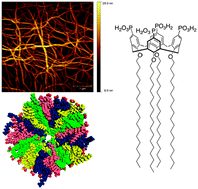 Graphical abstract: Phosphonated calix[4]arene-based amphiphiles as scaffolds for fluorescent nano-fibres