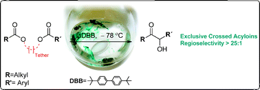 Graphical abstract: Exerting control over the acyloin reaction