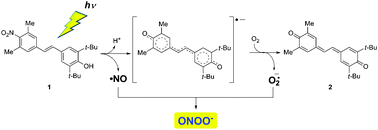 Graphical abstract: Peroxynitrite generation from a NO-releasing nitrobenzene derivative in response to photoirradiation