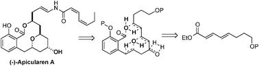 Graphical abstract: De novo synthesis of natural productsvia the asymmetric hydration of polyenes