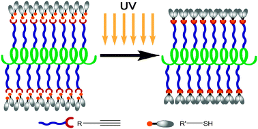 Graphical abstract: Facile functionalization of polypeptides by thiol-yne photochemistry for biomimetic materials synthesis