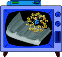 Graphical abstract: Live encapsulation of a Keggin polyanion in NH2-MIL-101(Al) observed by in situ time resolved X-ray scattering