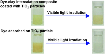 Graphical abstract: Stabilization of photosensitizing dyes by complexation with clay