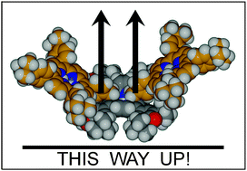 Graphical abstract: Anchoring of self-assembled monolayers of unsymmetrically-substituted chromophores with an oxoporphyrinogen surface clamp