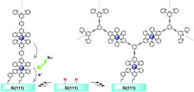 Graphical abstract: Bottom-up fabrication of redox-active metal complex oligomer wires on an H-terminated Si(111) surface