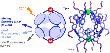 Graphical abstract: Highly fluorescent M2L4 molecular capsules with anthracene shells