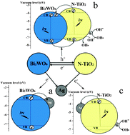 Graphical abstract: A three-way synergy of triple-modified Bi2WO6/Ag/N–TiO2 nanojunction film for enhanced photogenerated charges utilization