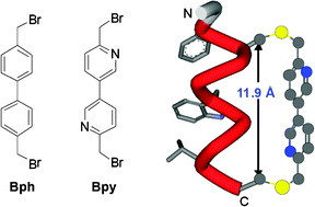 Graphical abstract: Achieving cell penetration with distance-matching cysteine cross-linkers: a facile route to cell-permeable peptide dual inhibitors of Mdm2/Mdmx