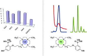 Graphical abstract: An aryl-phosphonate appended macrocyclic platform for lanthanide based bimodal imaging agents