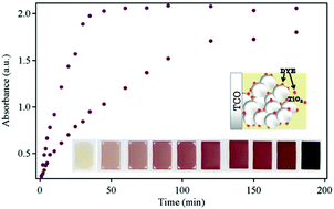 Graphical abstract: On-line monitoring and active control of dye uptake in dye-sensitised solar cells