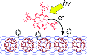 Graphical abstract: Effects of fullerene encapsulation on structure and photophysical properties of porphyrin-linked single-walled carbon nanotubes