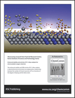 Graphical abstract: Back cover