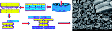 Graphical abstract: The origin of ZnO twin crystals in bio-inspired synthesis