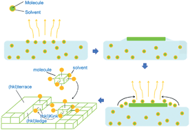 Graphical abstract: Large organic single crystal sheets grown from the gas–liquid and gas–liquid–solid interface