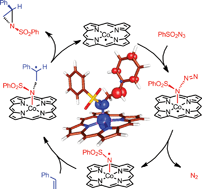 Graphical abstract: The radical mechanism of cobalt(ii) porphyrin-catalyzed olefin aziridination and the importance of cooperative H-bonding