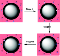 Graphical abstract: A general route to synthesize water-dispersive noble metal–iron oxide bifunctional hybrid nanoparticles