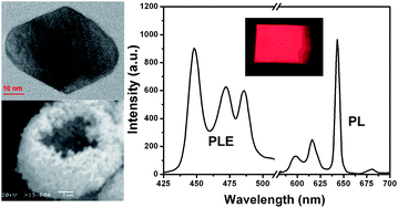 Graphical abstract: Bifunctional highly fluorescent hollow porous microspheres made of BaMoO4 : Pr3+ nanocrystalsvia a template-free synthesis