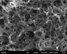 Graphical abstract: Electrochemically assembling of a porous nano-polyaniline network in a reverse micelle and its application in a supercapacitor