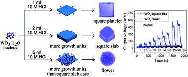 Graphical abstract: Large-scale synthesis of hydrated tungsten oxide 3D architectures by a simple chemical solution route and their gas-sensing properties