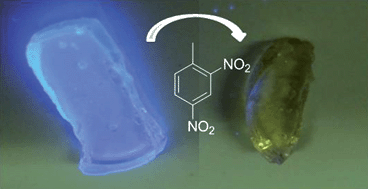 Graphical abstract: One pot synthesis of fluorescent π-conjugated materials: immobilization of phenylene–ethynylene polyelectrolytes in silica confined ionogels