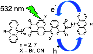 Graphical abstract: Synthesis, characterization, and photoinduced electron transfer properties of core-functionalized perylene-3,4:9,10-bis(dicarboximide)s with pendant anthracenes
