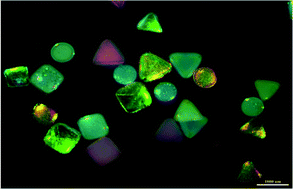 Graphical abstract: Aptamer-based suspension array indexed by structural color and shape