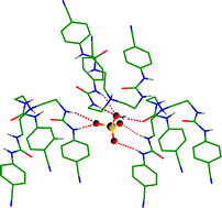 Graphical abstract: Seven-coordinate anion complex with a tren-based urea: Binding discrepancy of hydrogen sulfate in solid and solution states