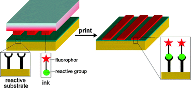 Graphical abstract: Click chemistry by microcontact printing on self-assembled monolayers: A structure–reactivity study by fluorescence microscopy