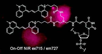 Graphical abstract: Hybridization-sensitive fluorescence control in the near-infrared wavelength range
