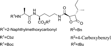 Graphical abstract: Synthesis and biological activity of optimized belactosin C congeners