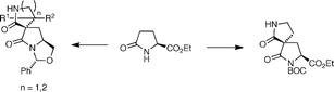 Graphical abstract: Spirocyclic systems derived from pyroglutamic acid