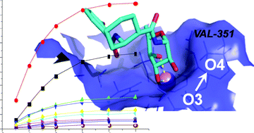 Graphical abstract: Insights into molecular recognition of LewisX mimics by DC-SIGN using NMR and molecular modelling