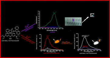Graphical abstract: Versatile trifunctional chemosensor of rhodamine derivative for Zn2+, Cu2+ and His/Cys in aqueous solution and living cells