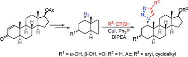 Graphical abstract: Efficient approach to novel 1α-triazolyl-5α-androstane derivatives as potent antiproliferative agents