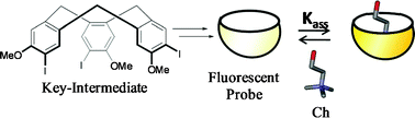 Graphical abstract: C3-triiodocyclotriveratrylene as a key intermediate to fluorescent probes: application to selective choline recognition