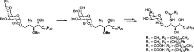 Graphical abstract: Divergent synthetic approach to 6′′-modified α-GalCer analogues
